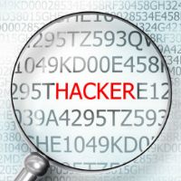 Möglicher Hackerangriff: AfD-Meldeplattform offline